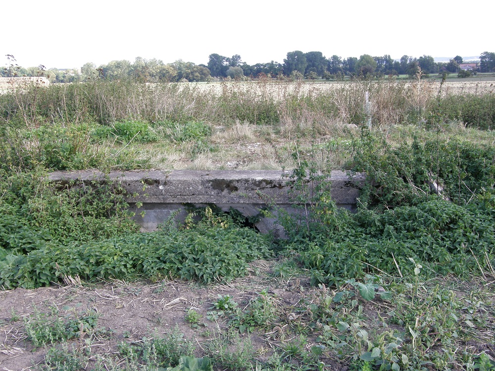 PA050334