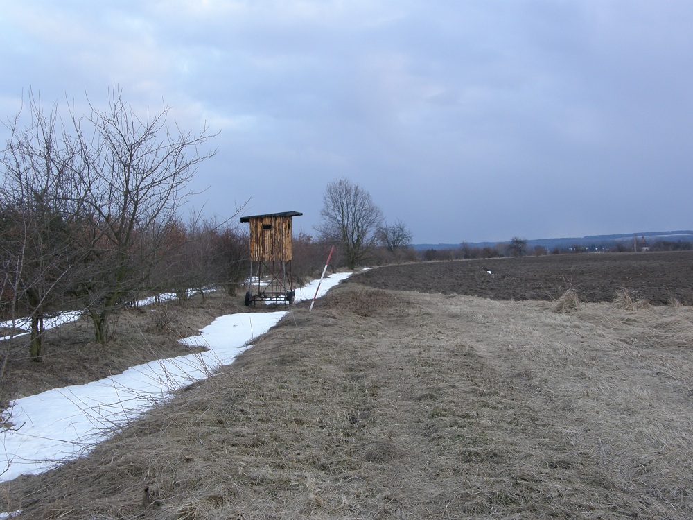 P3060047