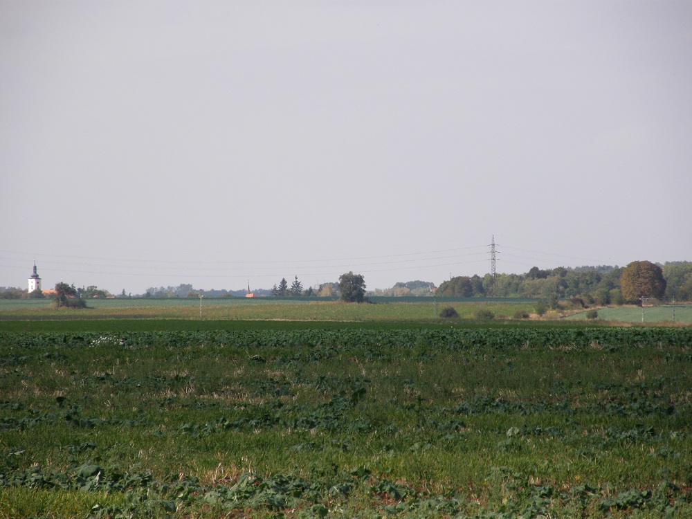 PA050345